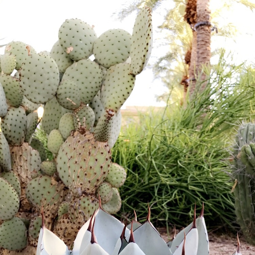 Meet your Posher, Paige